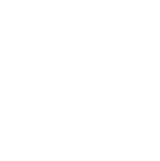 Peter Martin Cinematographer on Instagram